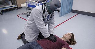Doctor Pigeon Simulator