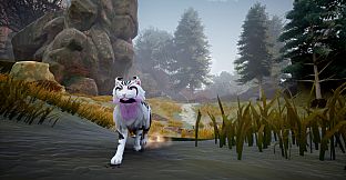 Warrior Cats: Clans of the Forest