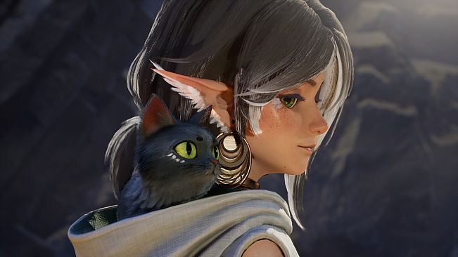 Ylem's Cat