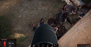 Road of a Survivor