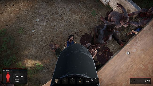 Road of a Survivor