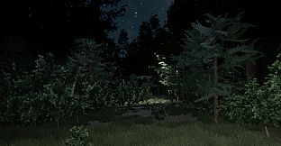 Darkness in the Forest