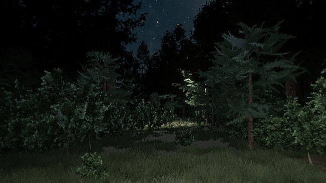 Darkness in the Forest