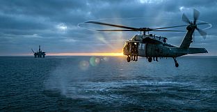 American Navy SEALs