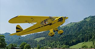 RealFlight Evolution – Hangar 9 Clipped-Wing Cub 10cc