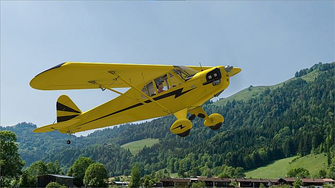 RealFlight Evolution – Hangar 9 Clipped-Wing Cub 10cc