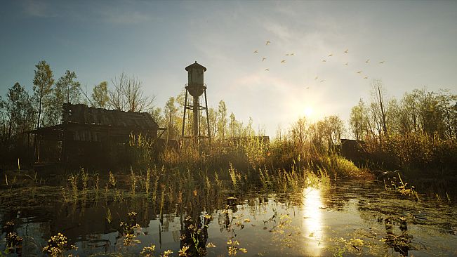 Forest Doesn’t Care