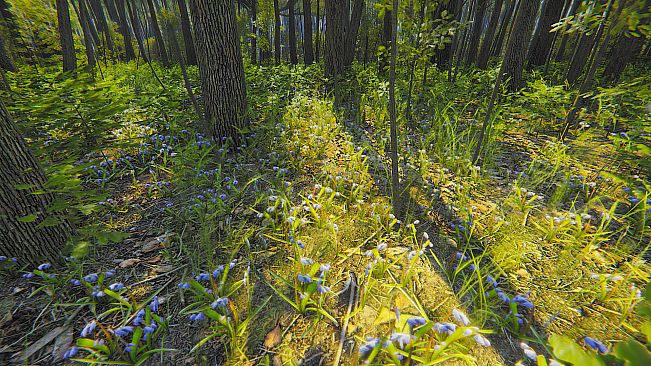 Mindfulness Simulator - ASMR Meditation Game