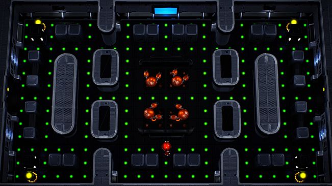 Neutron and the Tri-Spark