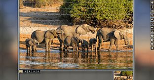 Pixel Puzzles Traditional Jigsaws Pack: Variety Pack 10