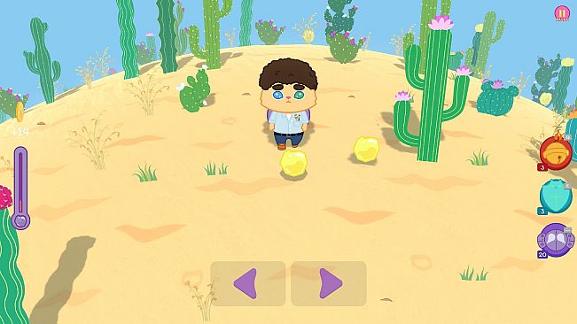 Kiwie vs Desert - Uniform Pack