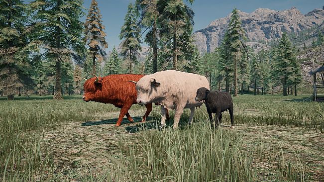 Ranch Simulator: Highland Cows Pack - Build, Farm, Hunt