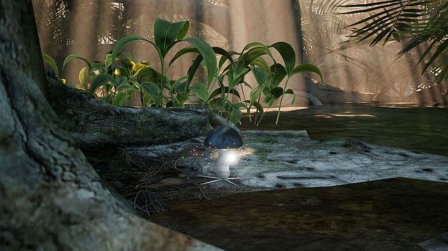 The Mushroom Adventrue:Call of Distant Realms