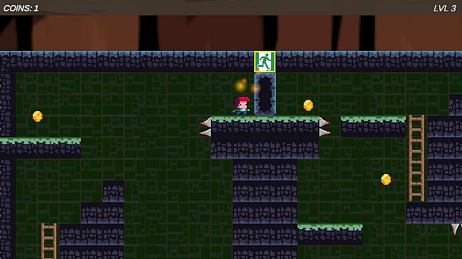 Ginger Shroom Journey