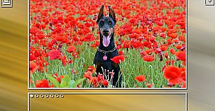 Super Jigsaw Puzzle: Generations - Dogs Puzzles