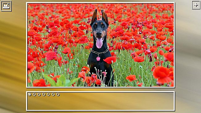 Super Jigsaw Puzzle: Generations - Dogs Puzzles