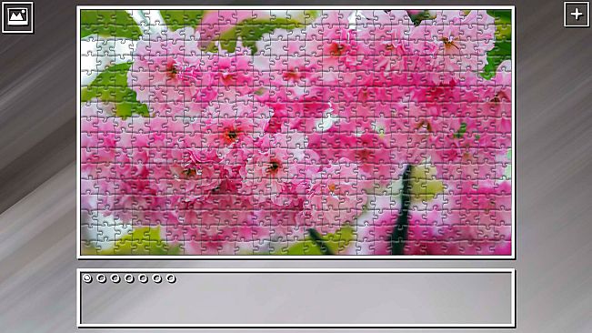 Super Jigsaw Puzzle: Generations - Flowers 2