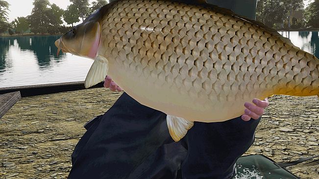 Fishing Sim World: Pro Tour - Gigantica Road Lake