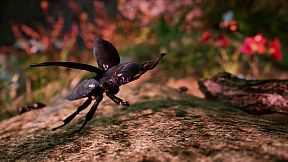 AWAY: The Survival Series