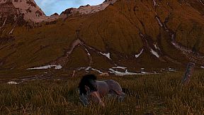HORSE LIFE: find horses in open world, survive in wild nature as a foal or pony