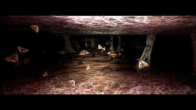 Dédale - A Cave Diving Experience
