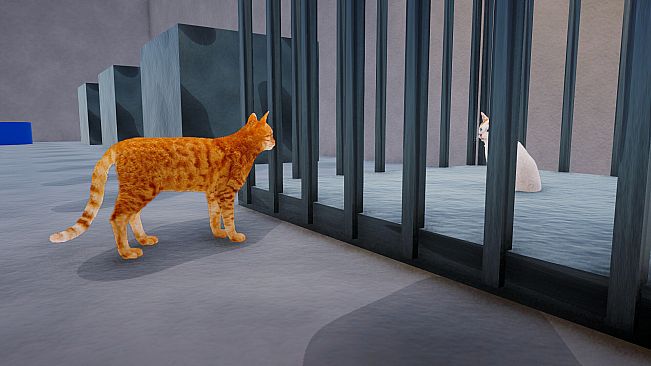 CatMischief