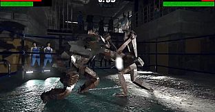 Iron Fury: Robot Boxing