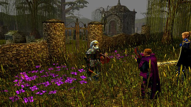 Neverwinter Nights: Darkness Over Daggerford