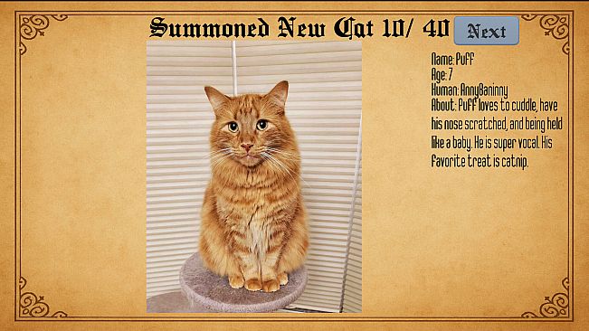 Kael's Cat Summoner