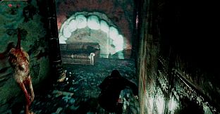 Injection π23 NNNN Expansion Events