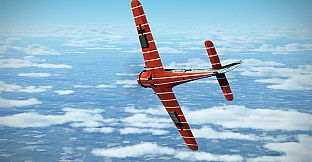 IL-2 Sturmovik: Fw 190 D-9 Collector Plane