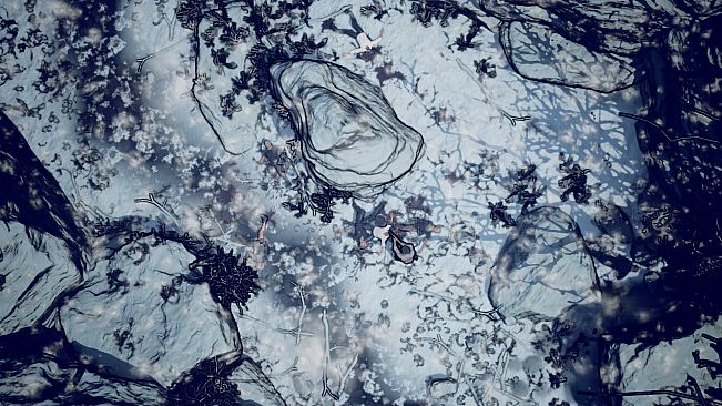 NORR part II: Will Walker