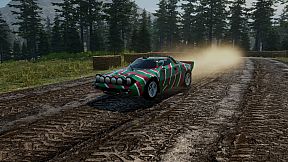 Rally Evolution 2025