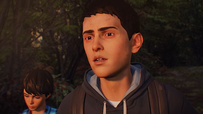 Life is Strange 2 - Arcadia Bay Patches DLC