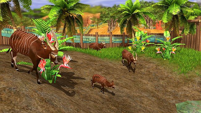 Wildlife Park 3 - Africa