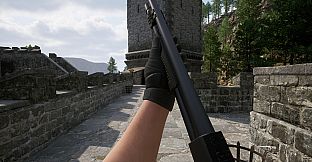 Swords and Guns