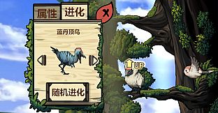 Fantasy Bird Woods