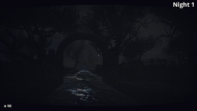 Entity: Midnight’s Watcher