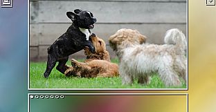 Super Jigsaw Puzzle: Generations - Puppies Puzzles