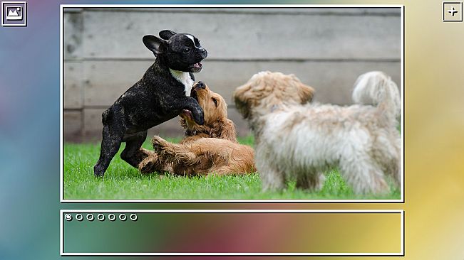 Super Jigsaw Puzzle: Generations - Puppies Puzzles