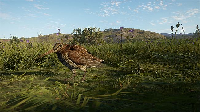theHunter: Call of the Wild - Scotland Hunting Reserve