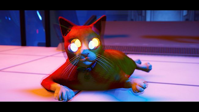 Schrodinger's Cat Burglar