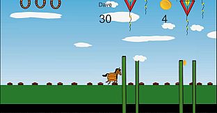 Horsey Jump