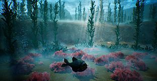 Tidepool