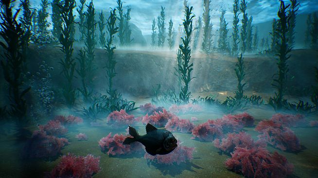 Tidepool