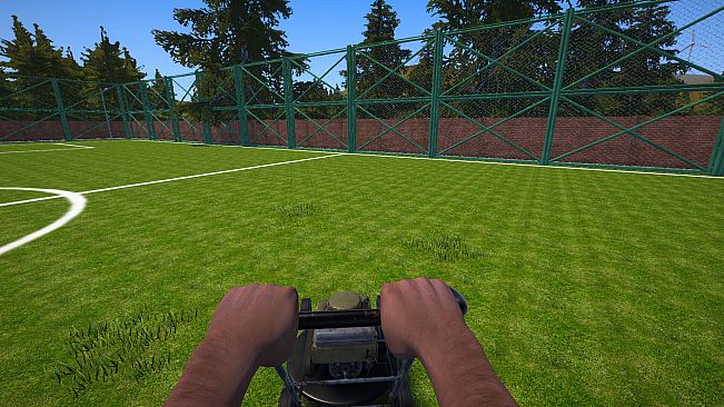 Football Pitch Simulator