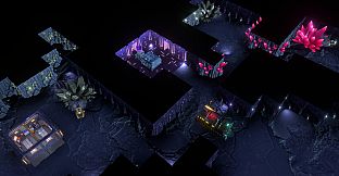 Wall World Strategy