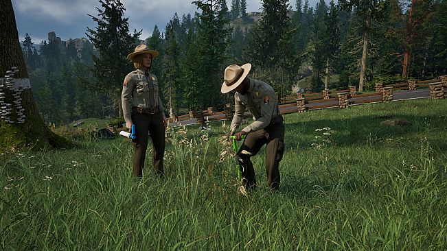 Ranger's Path: National Park Simulator