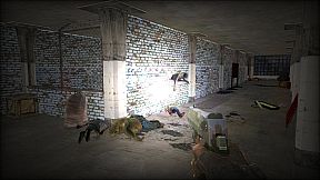 Operation HuntingHawk : Breakthrough