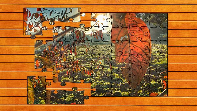 Golden Leaf Jigsaw Puzzles - Expansion Pack 3